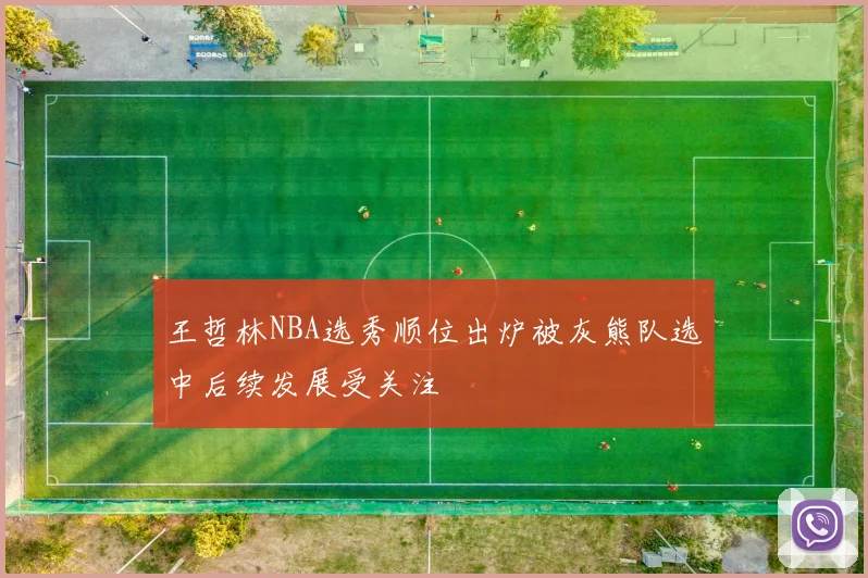 王哲林NBA选秀顺位出炉被灰熊队选中后续发展受关注